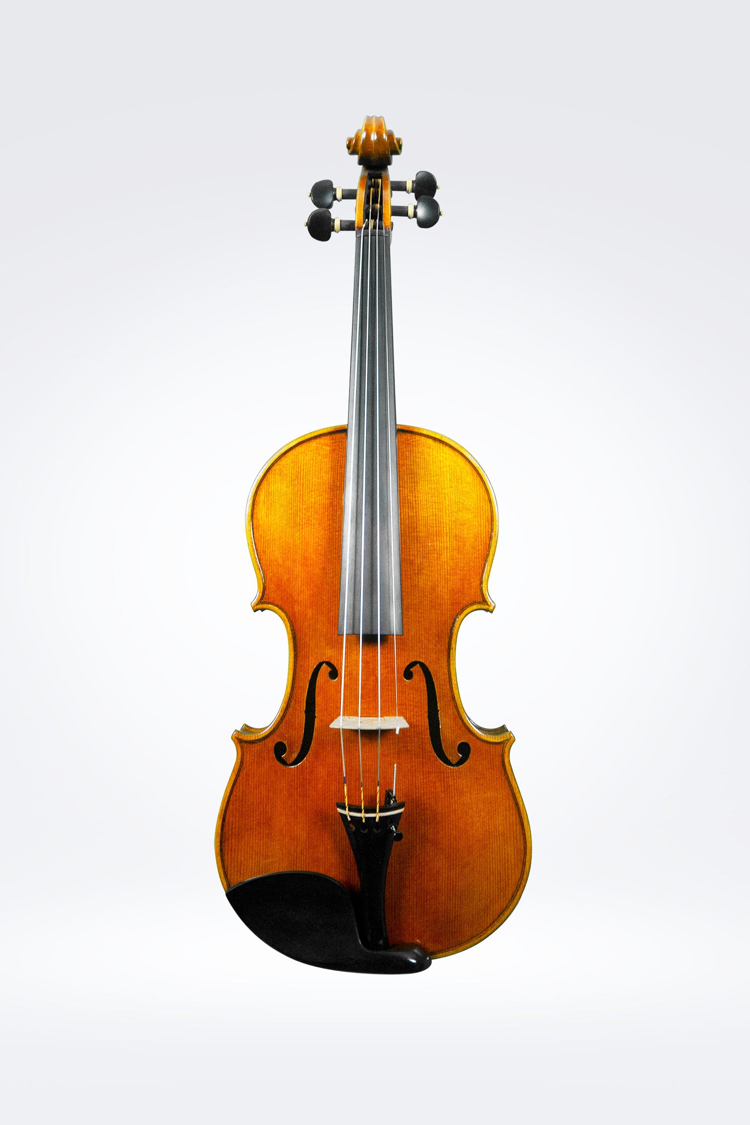 May Madness - Save 20% off Violins
