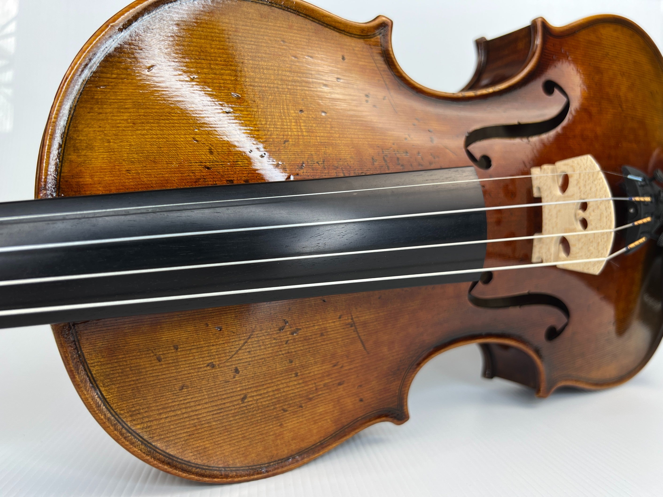 Luthier - 8 Violin