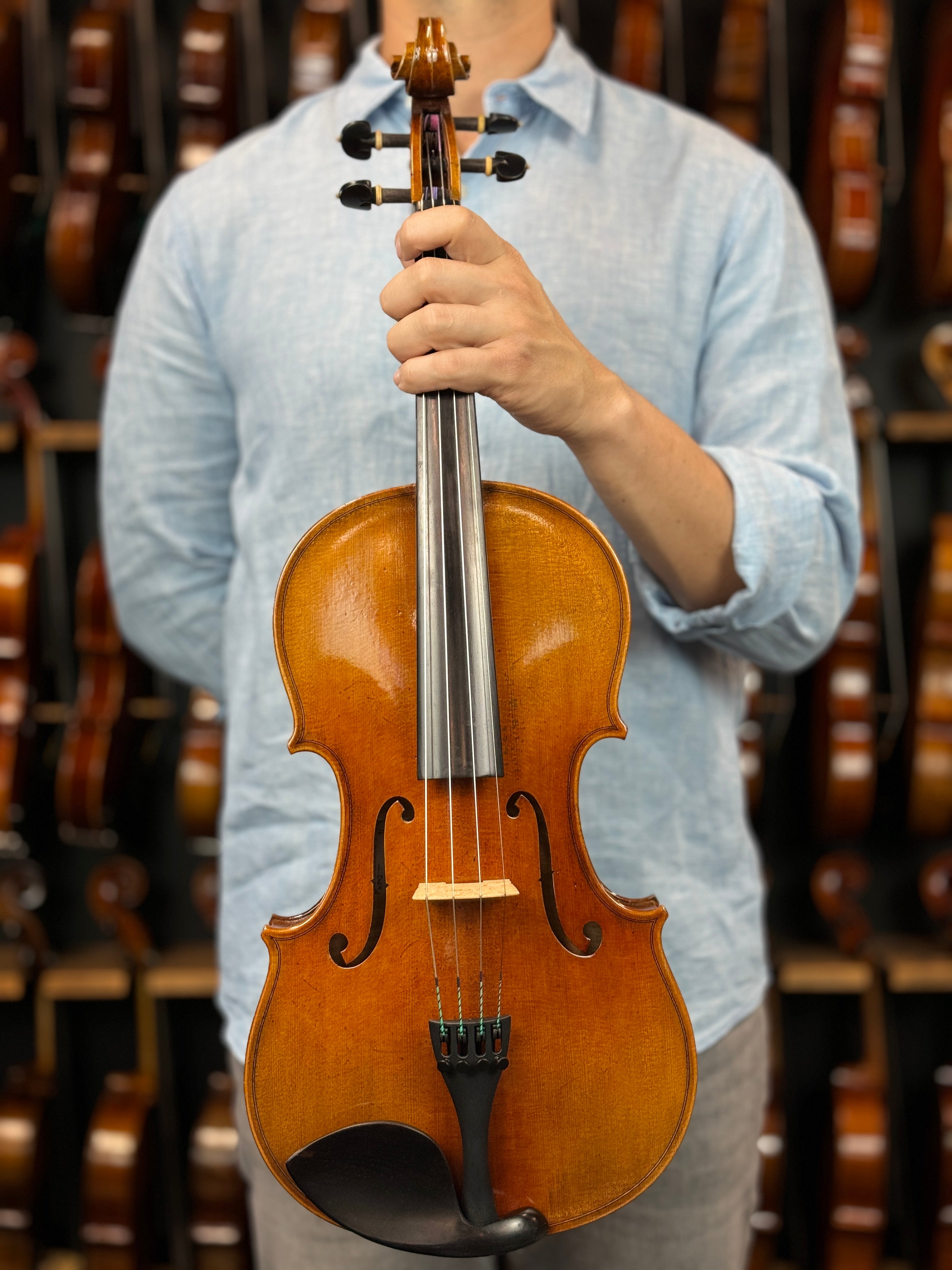 Luthier - 6 Viola