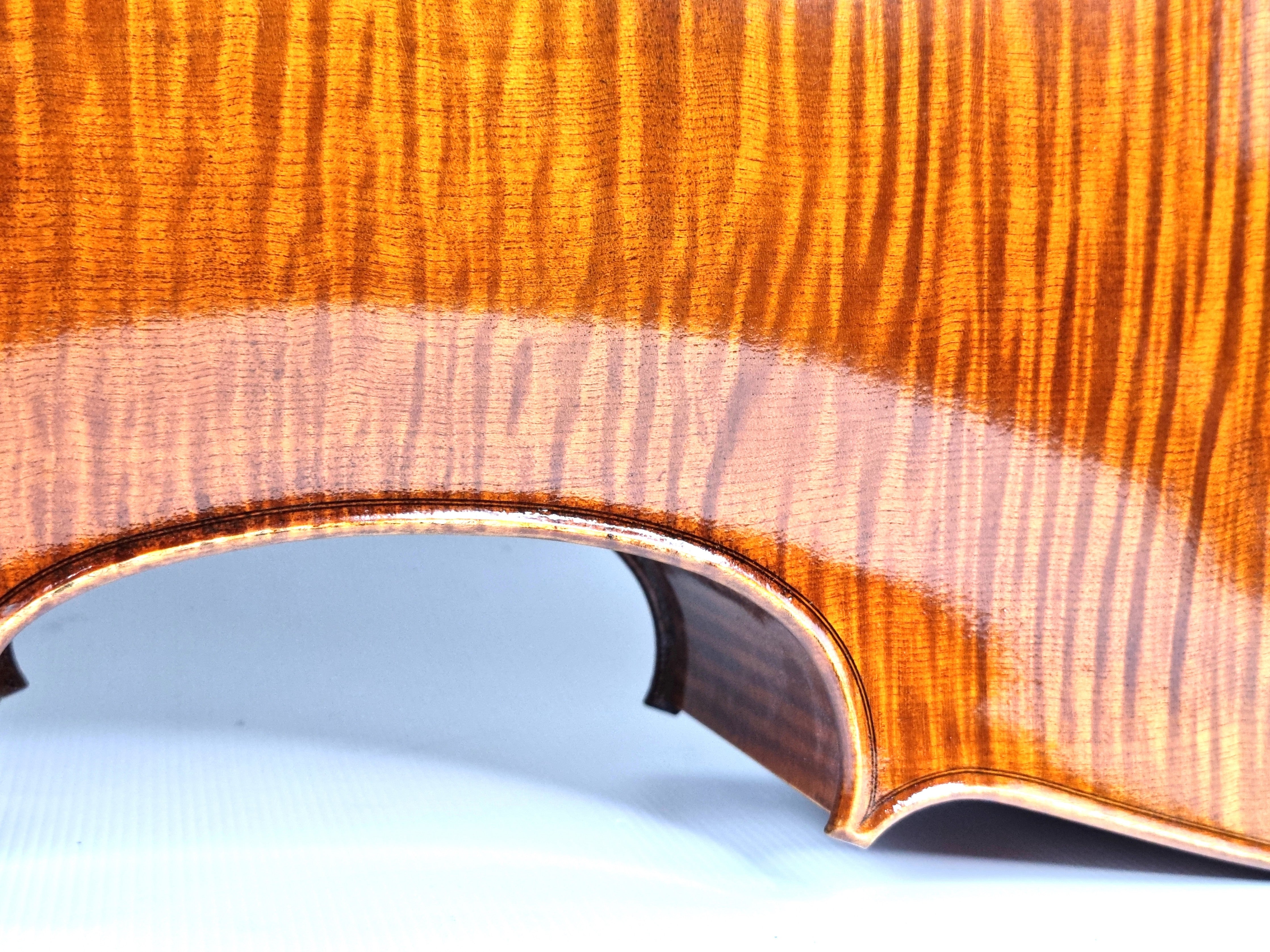 Luthier - 6 Cello