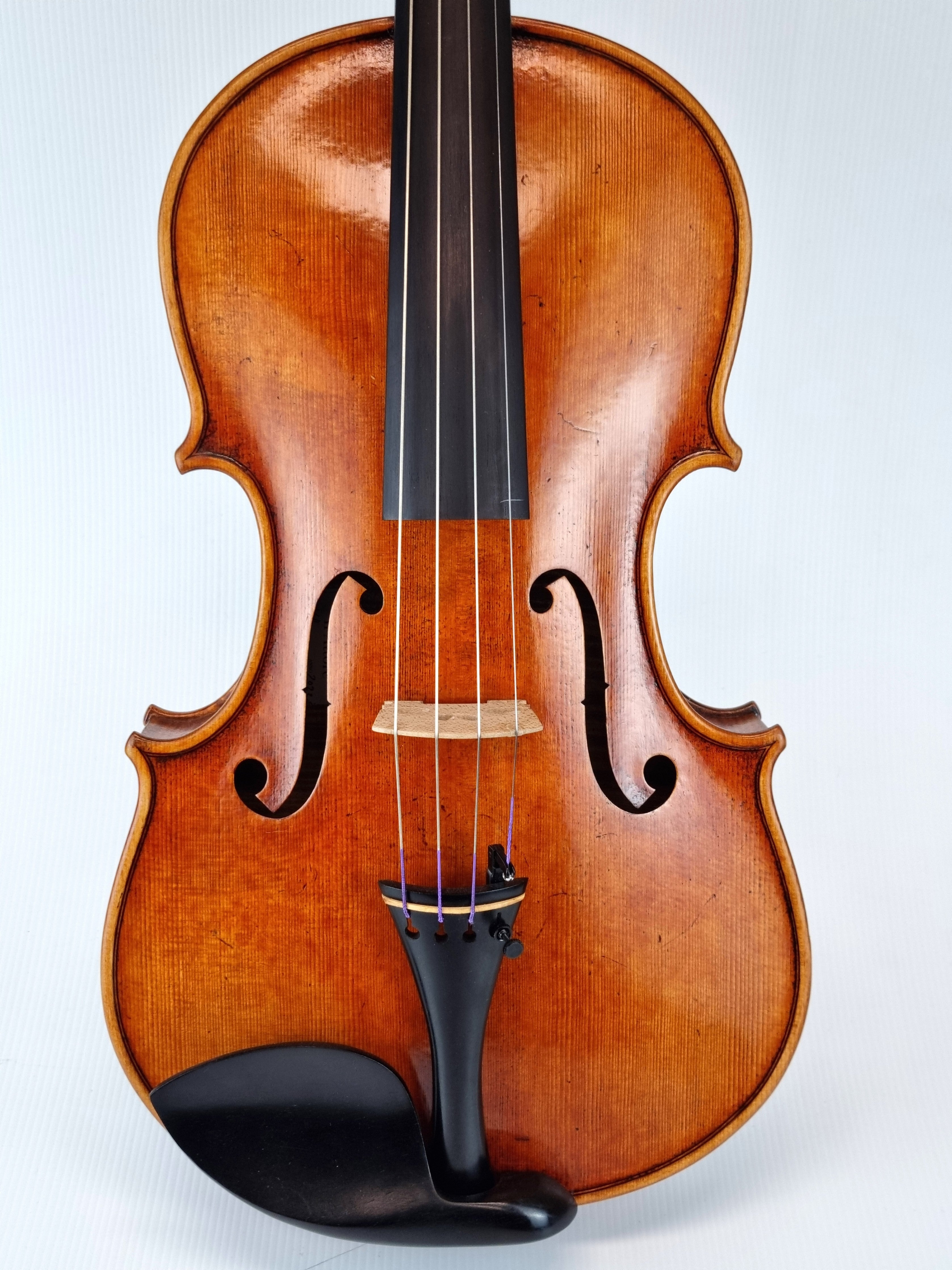 Luthier - 10 Viola
