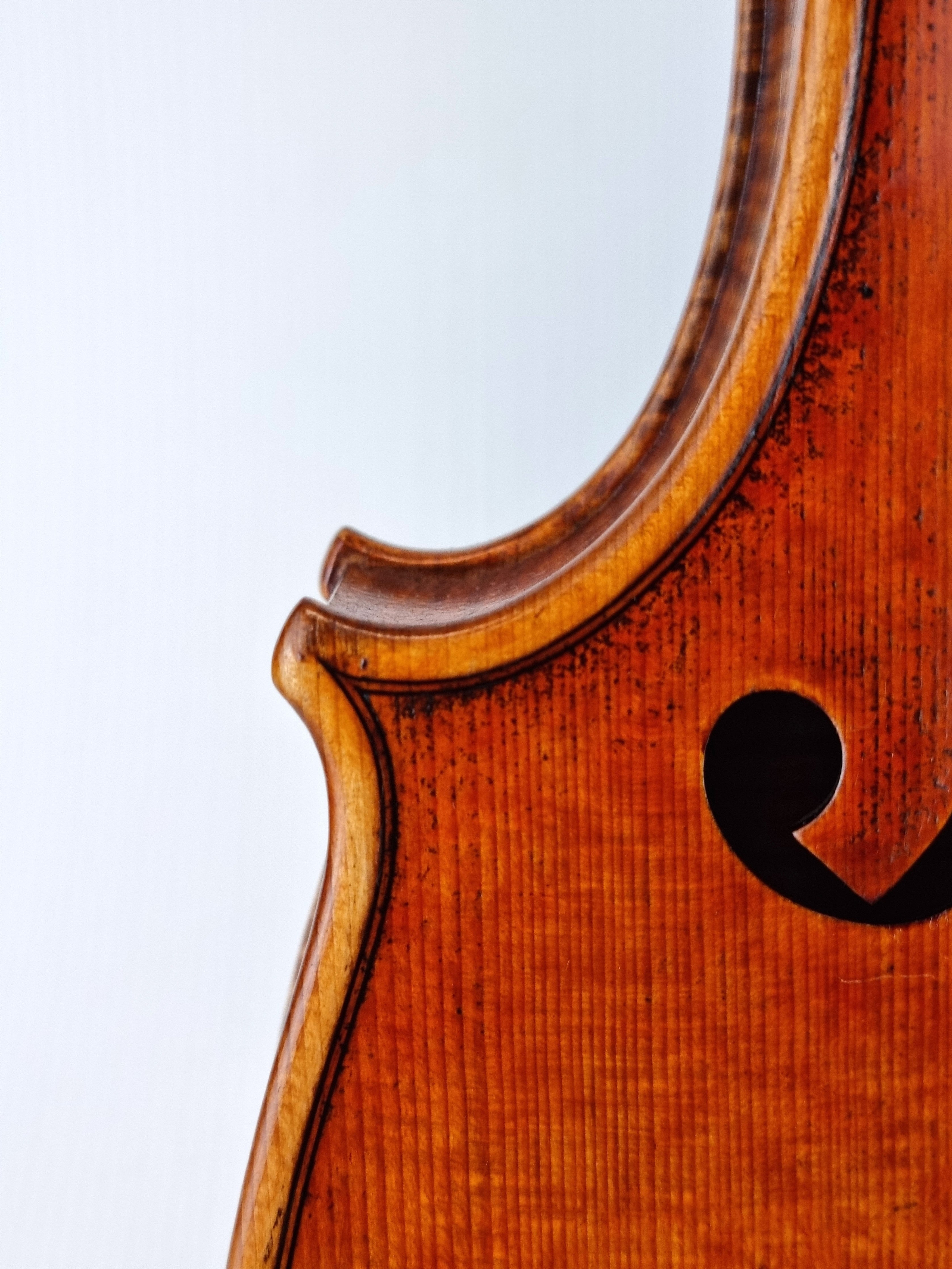 Luthier - 10 Viola