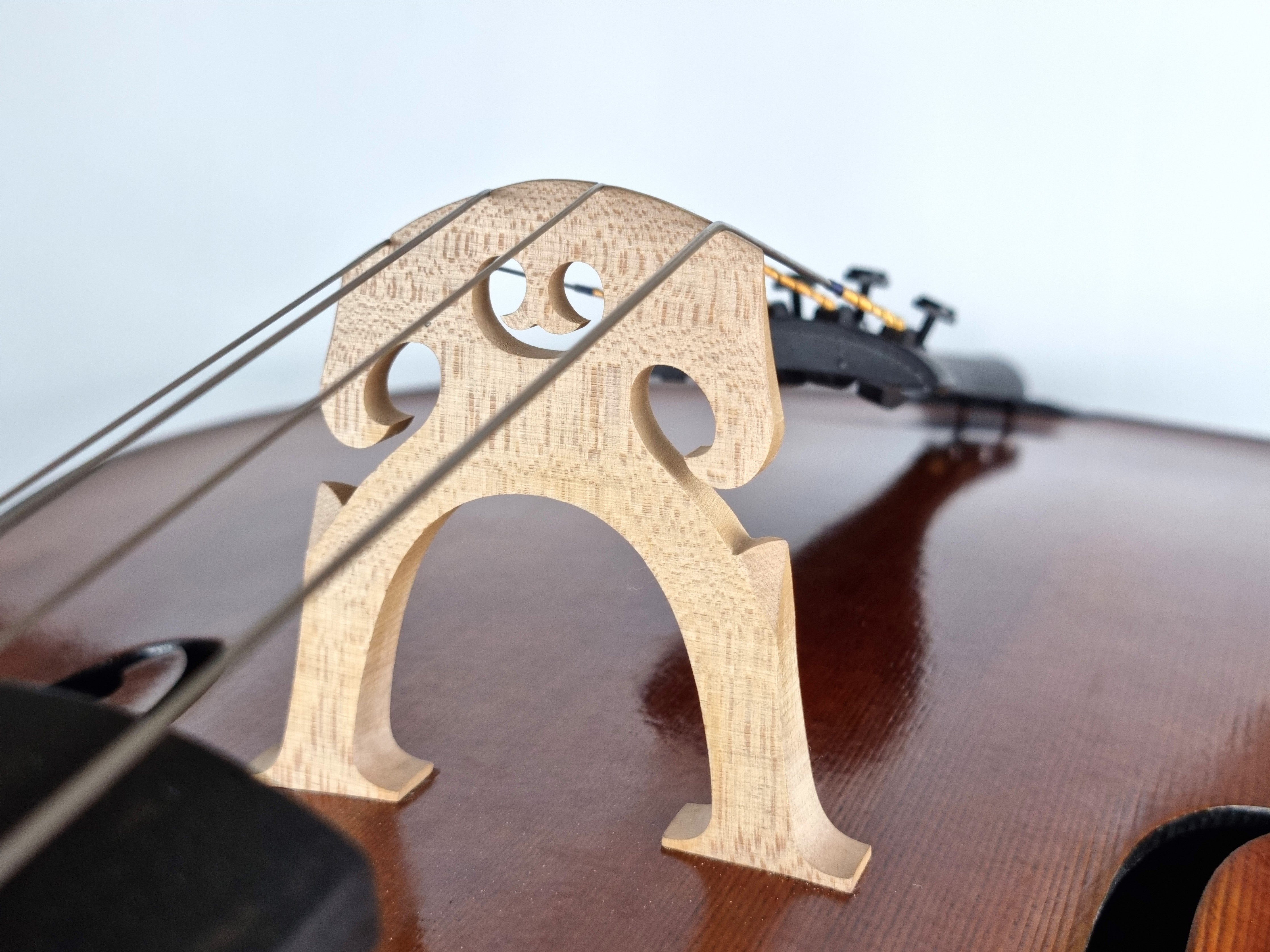 Luthier - 8 Cello