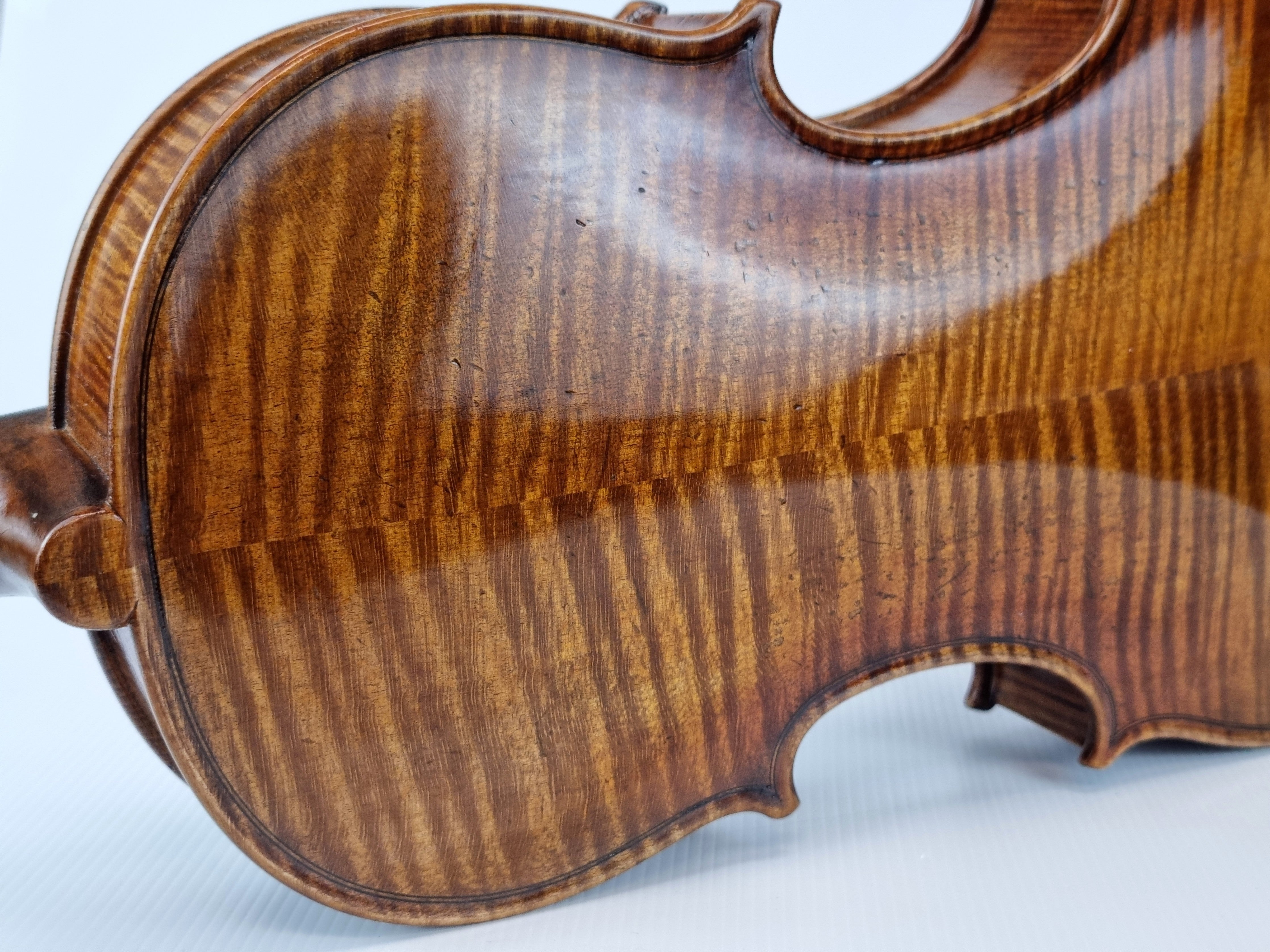 Luthier - 6 Viola