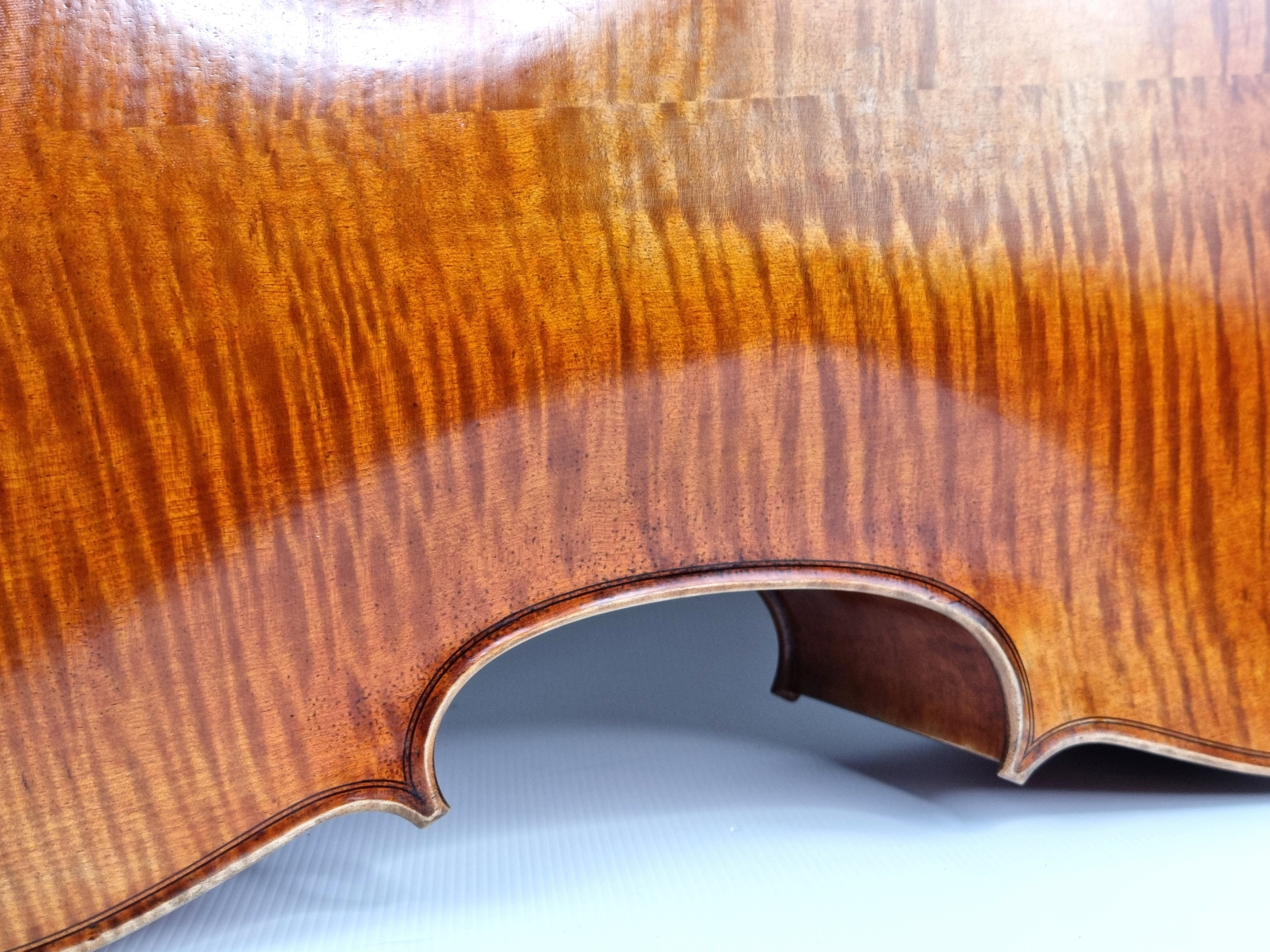 Luthier - 8 Cello