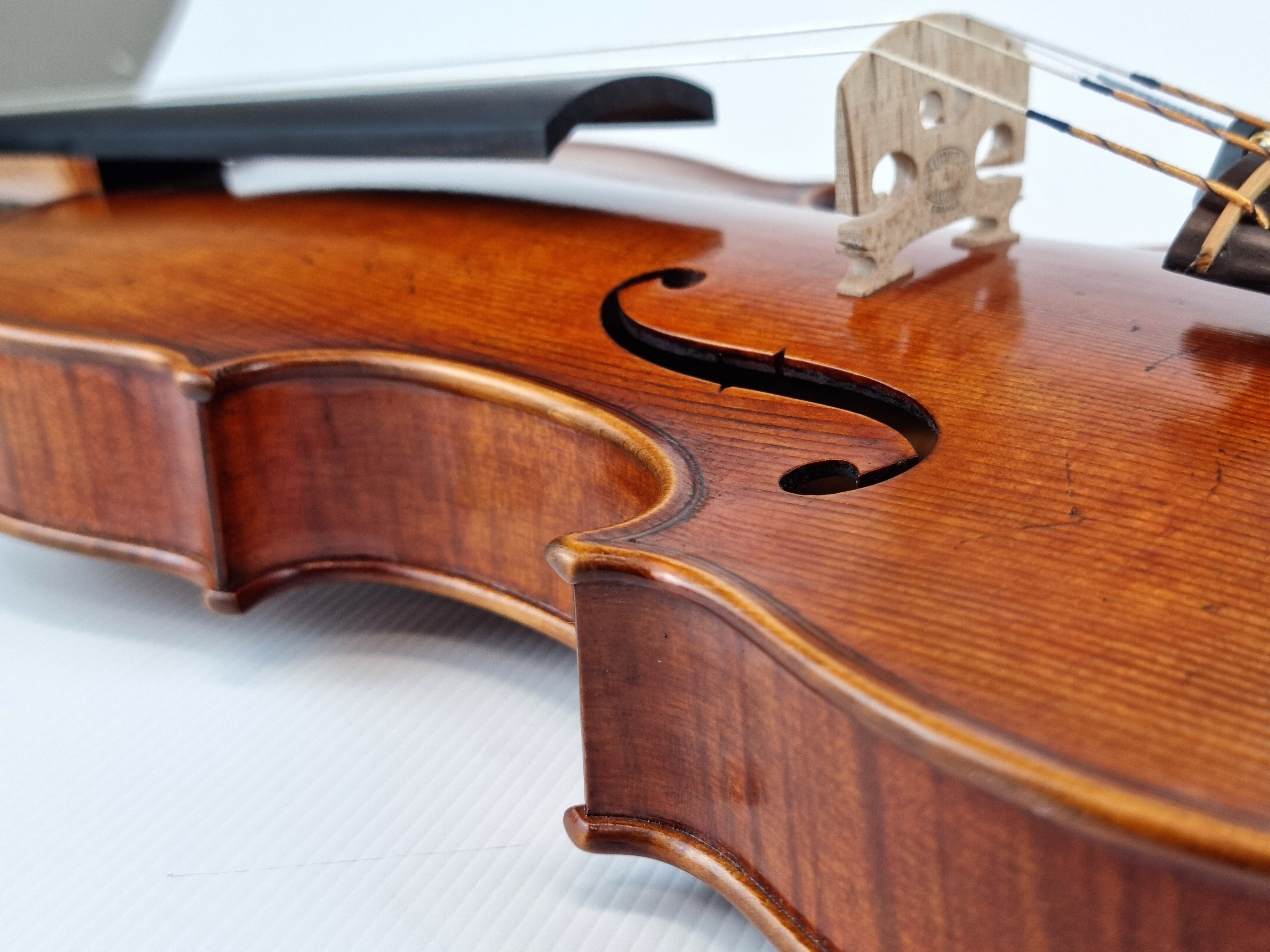 Luthier - 10 Violin
