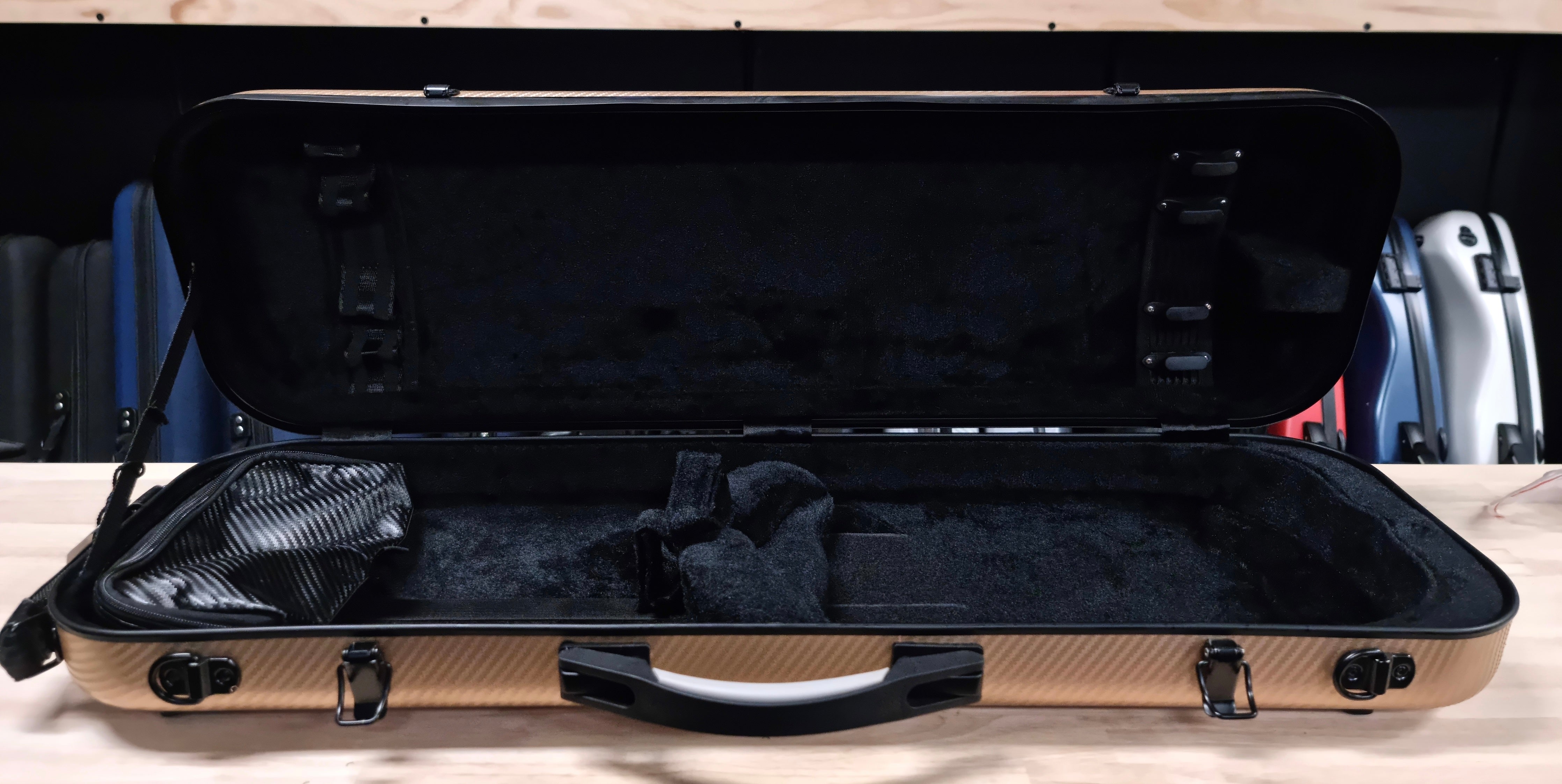 FS Oblong Violin Hard Case - Gold