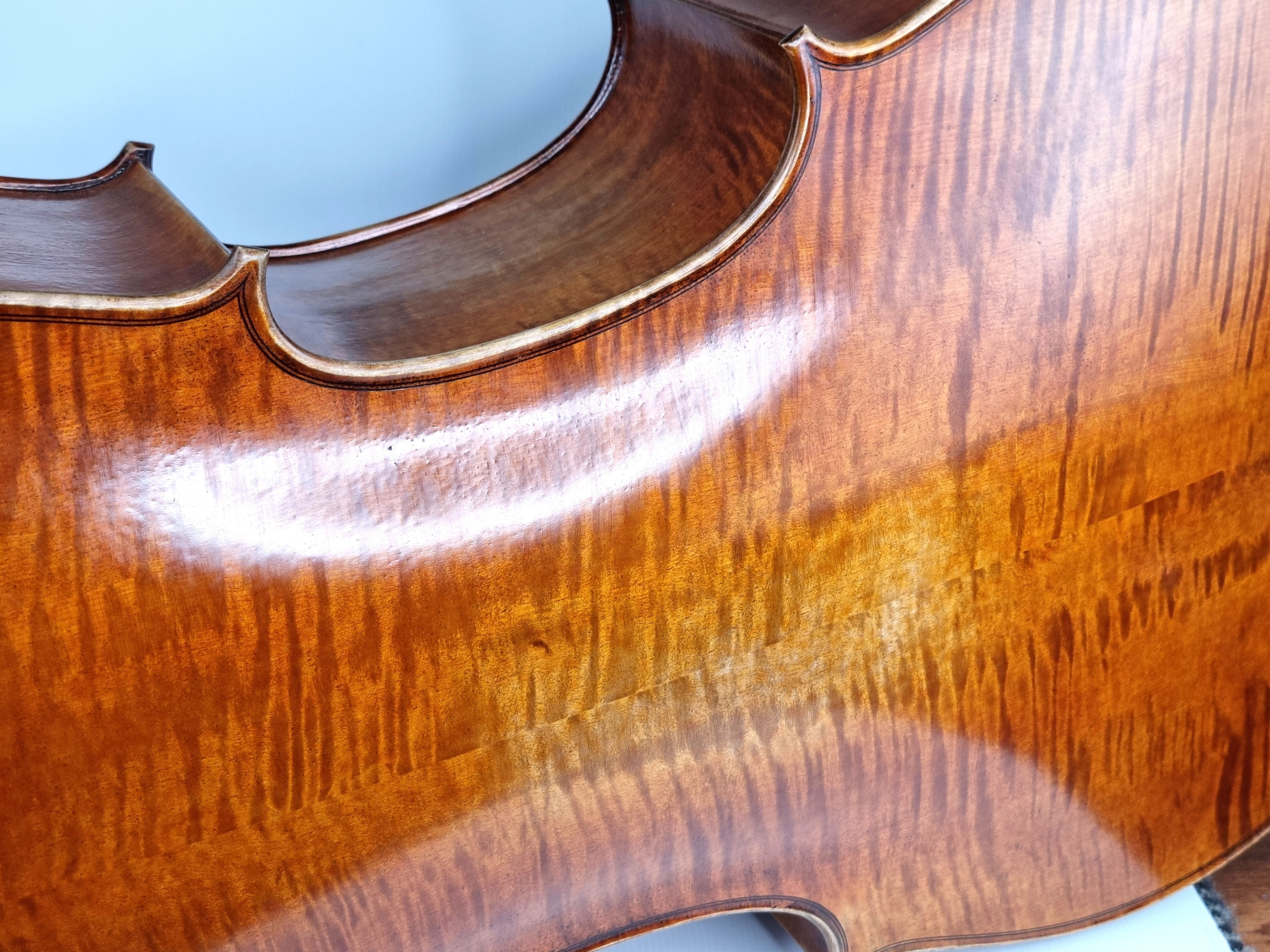 Luthier - 8 Cello