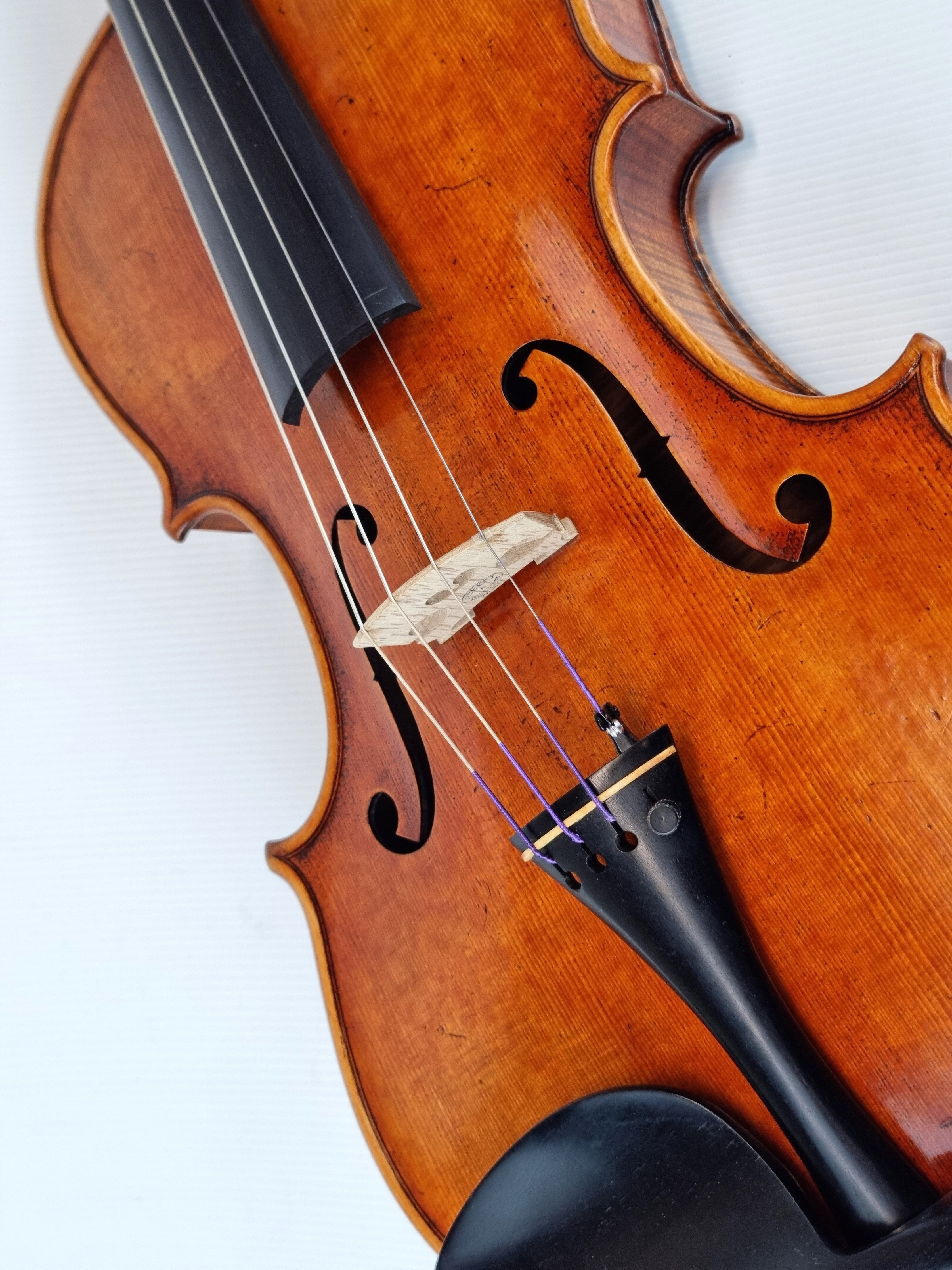 Luthier - 10 Viola