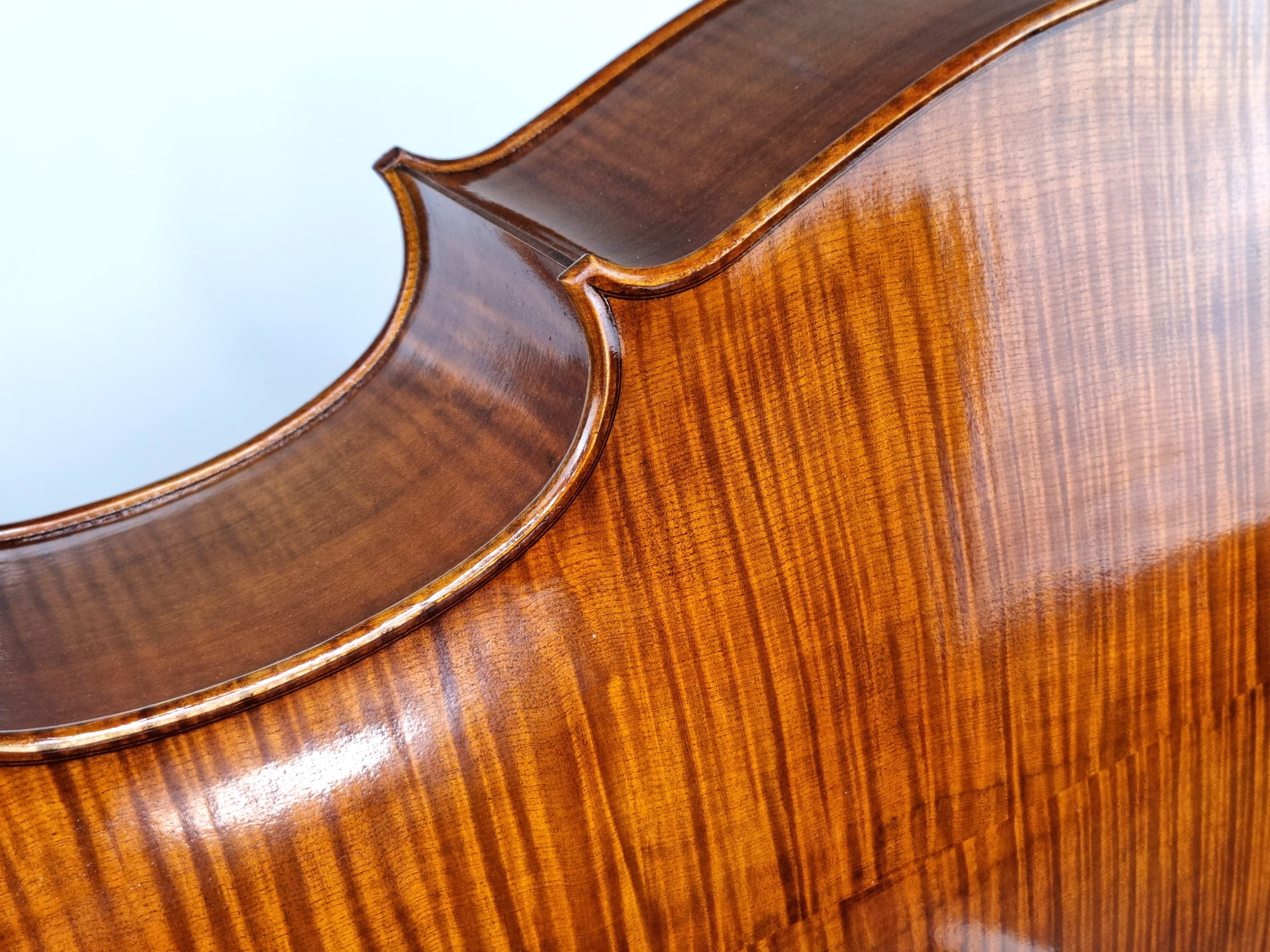 Luthier - 6 Cello