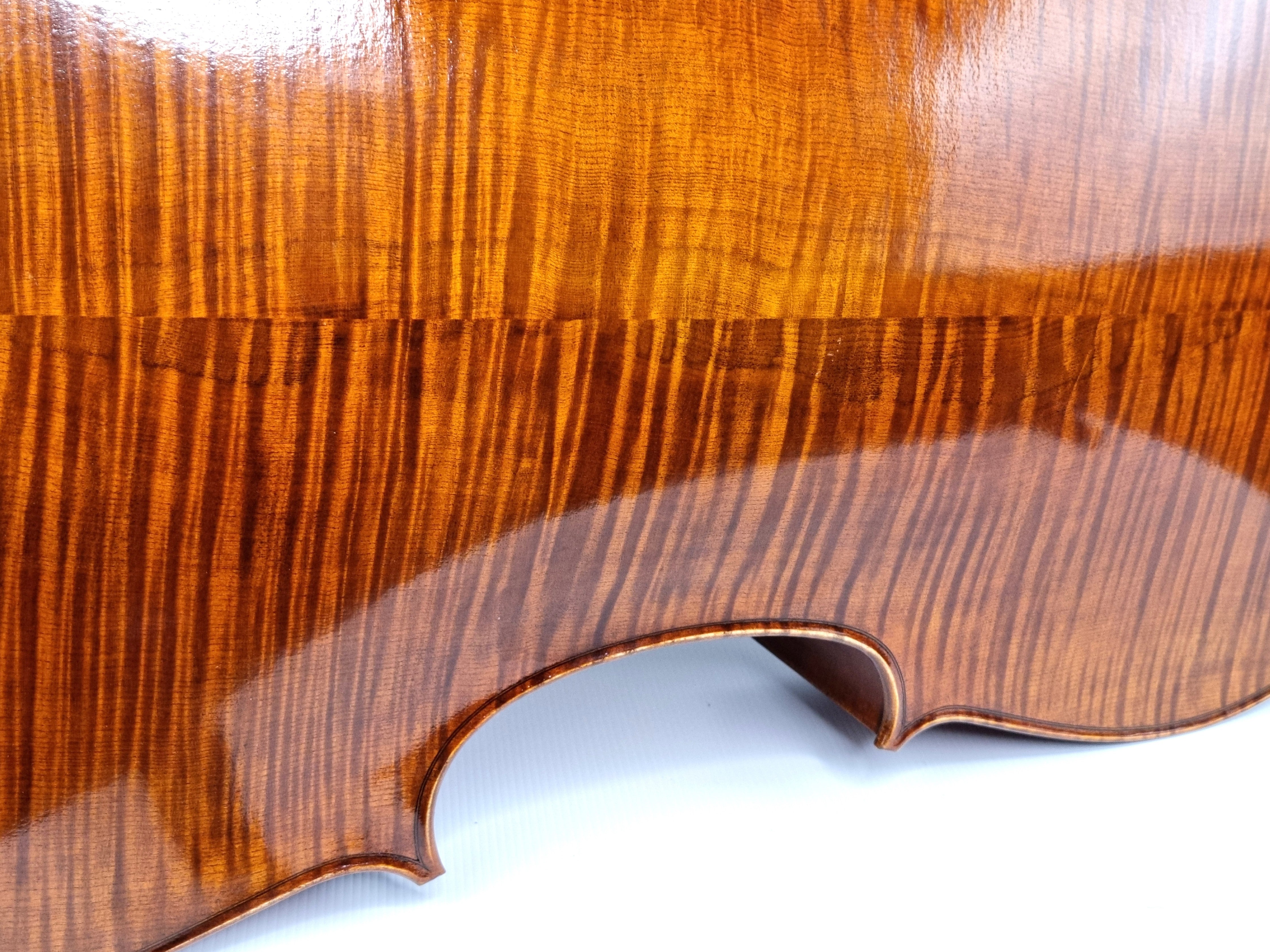 Luthier - 6 Cello
