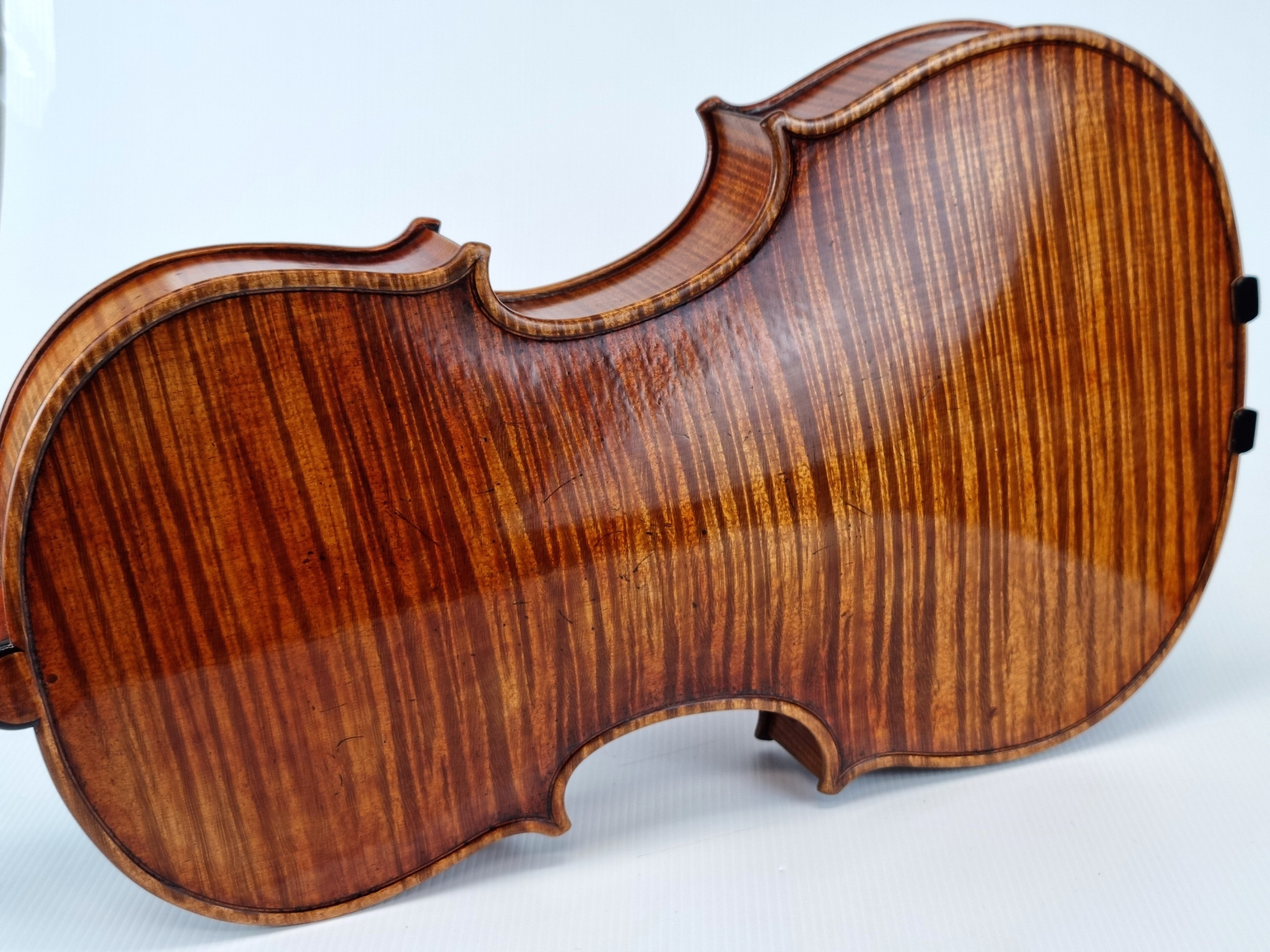 Luthier - 10 Viola