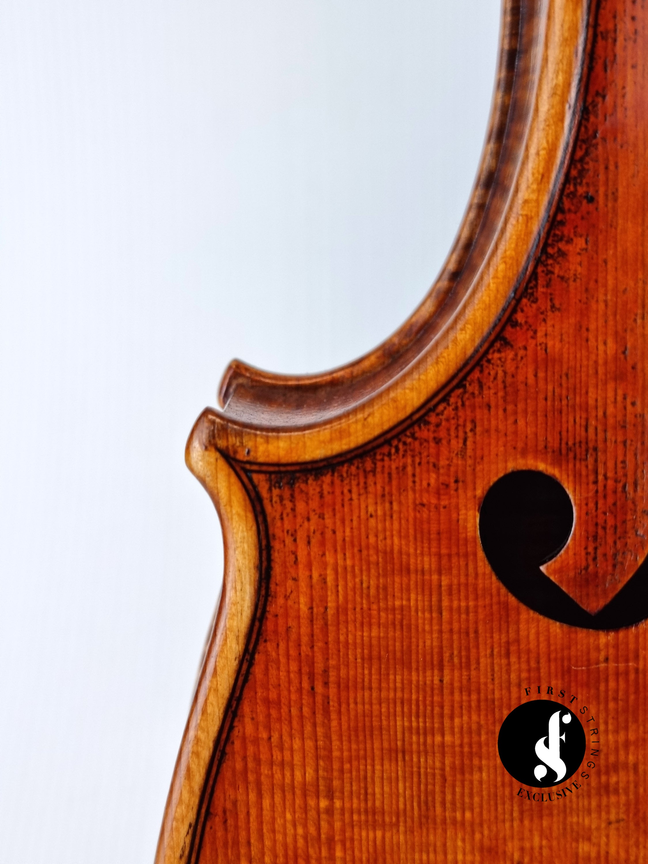 Luthier - 10 Viola