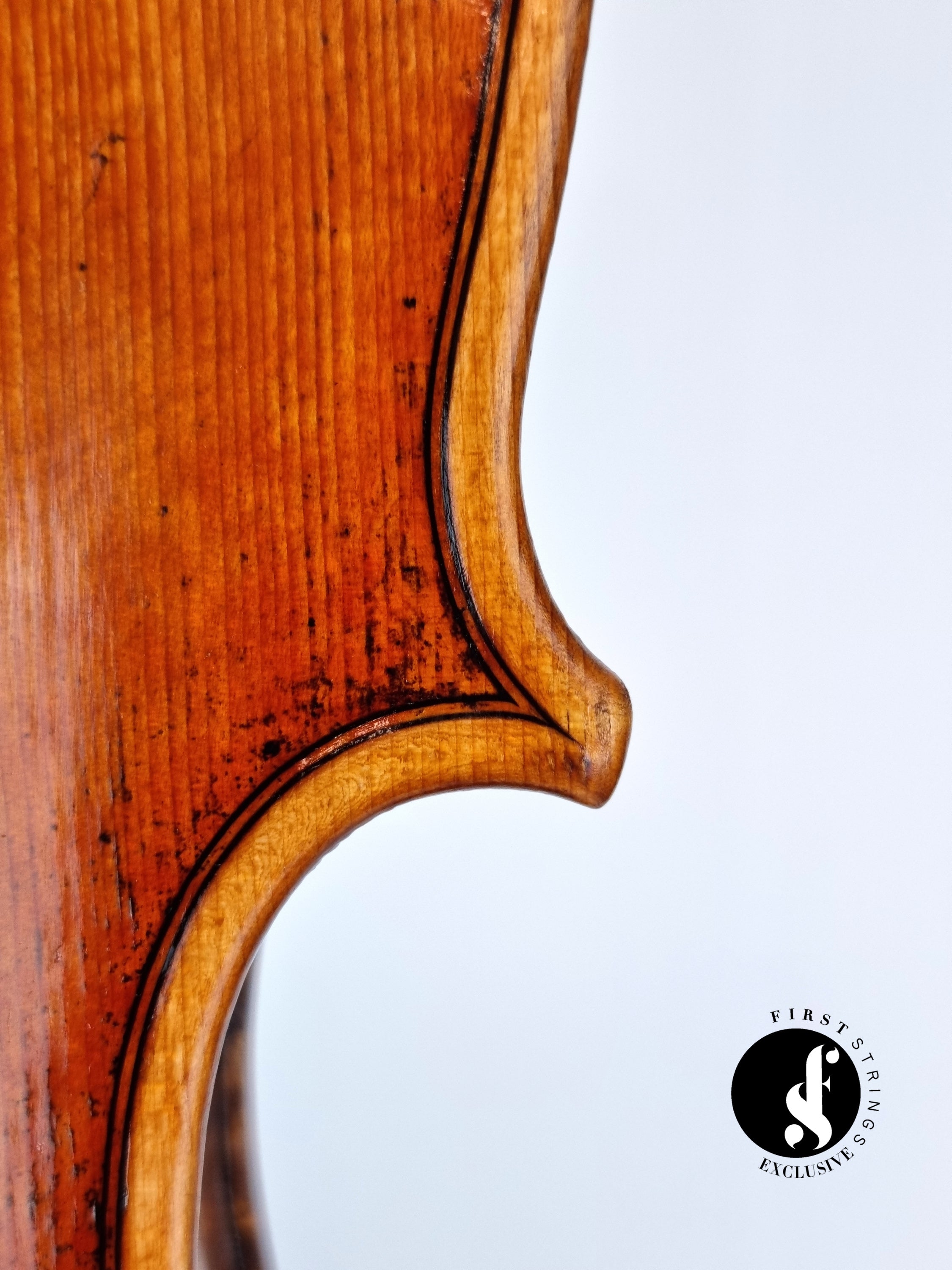 Luthier - 10 Viola