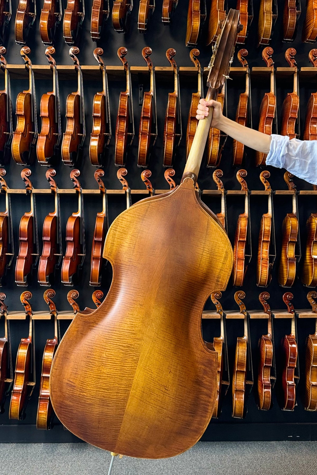 Beginner Double Basses