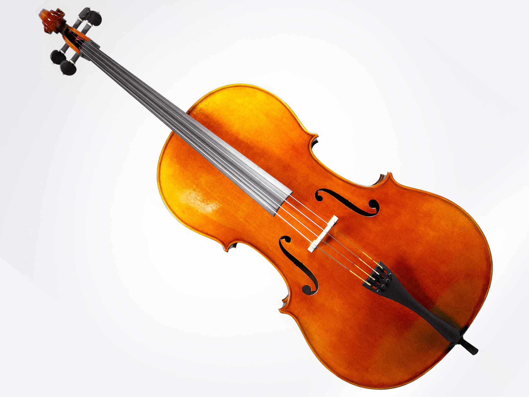 Luthier - 6 Cello