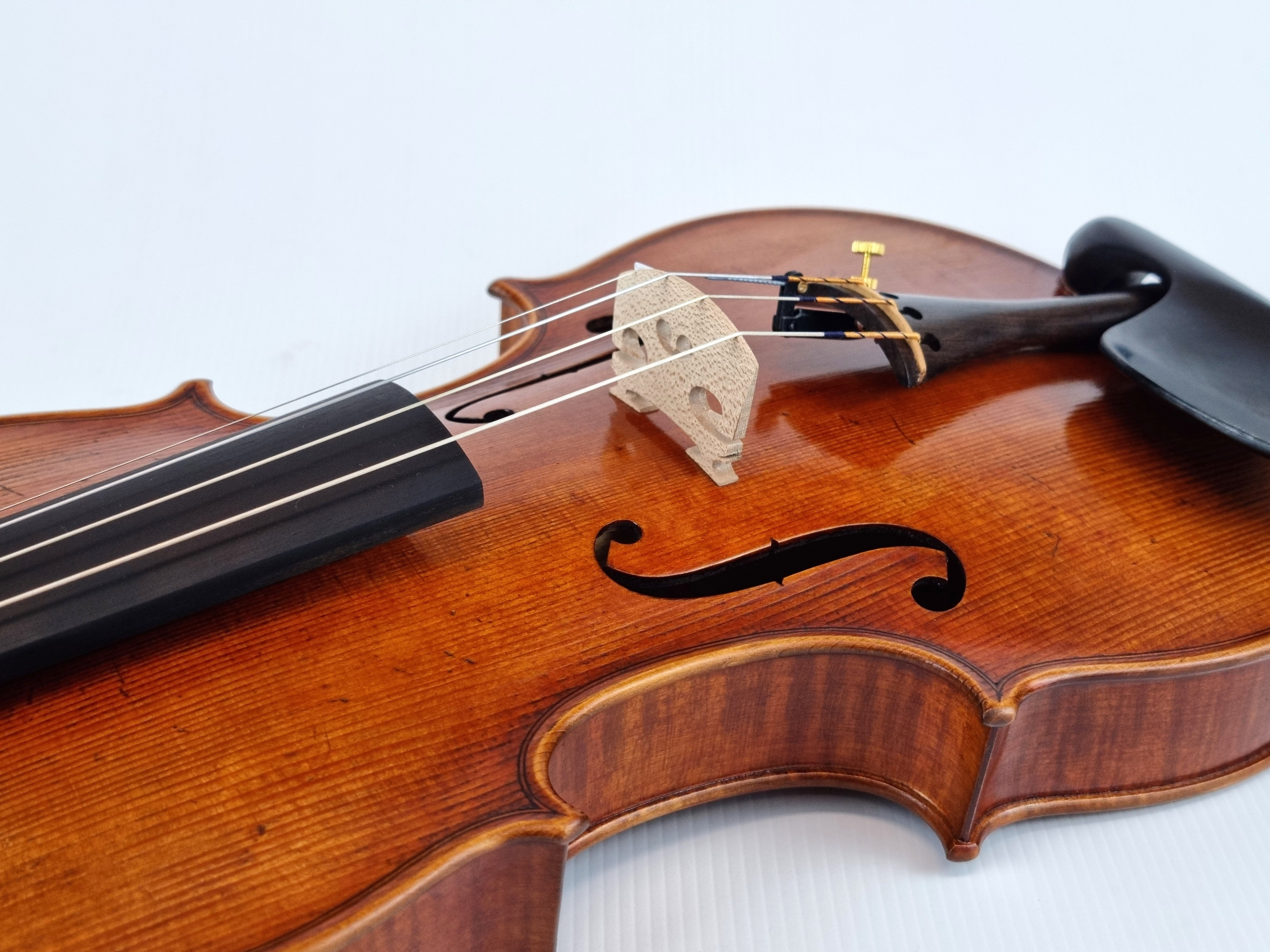 Luthier - 10 Violin