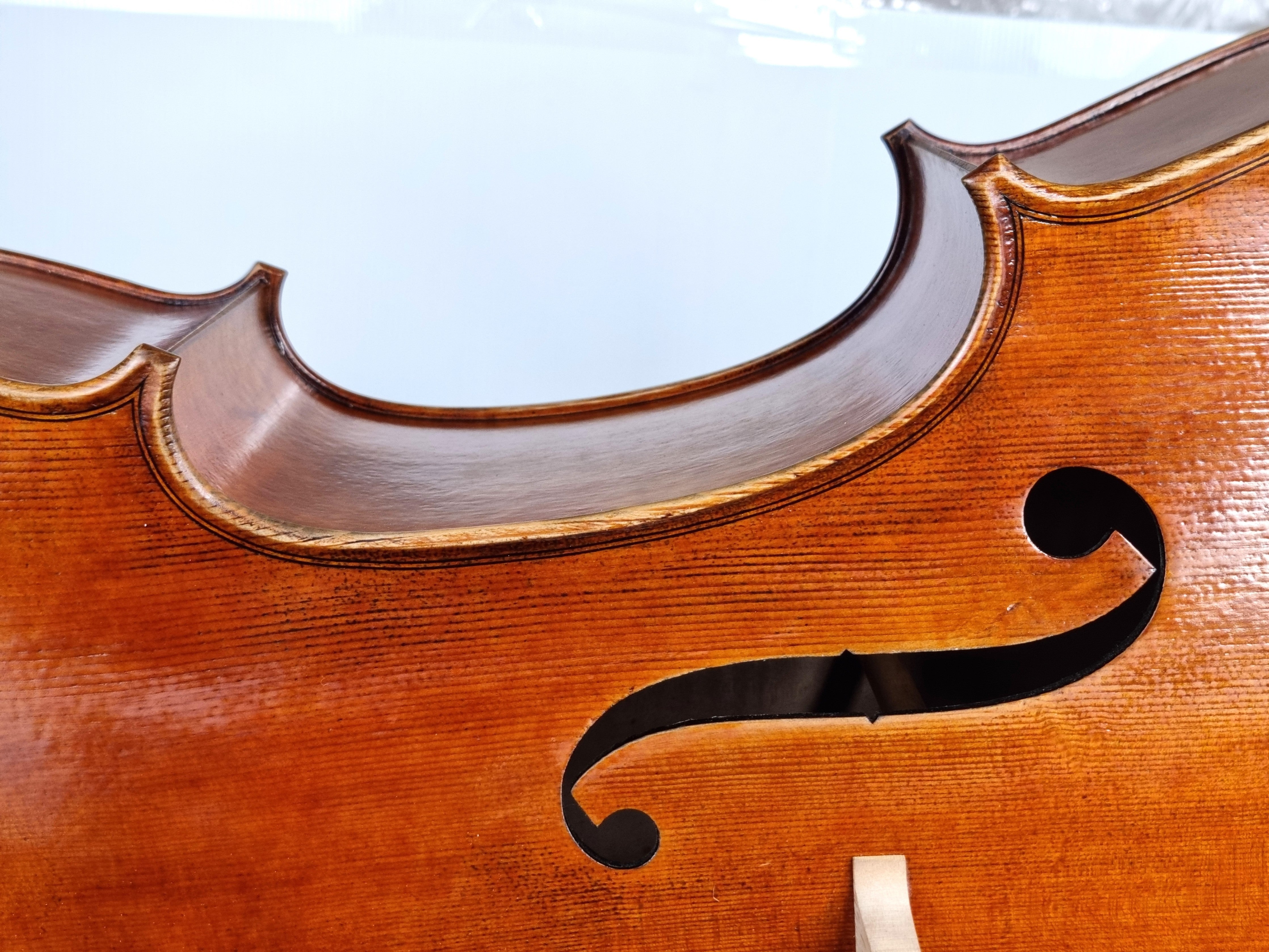 Luthier - 8 Cello