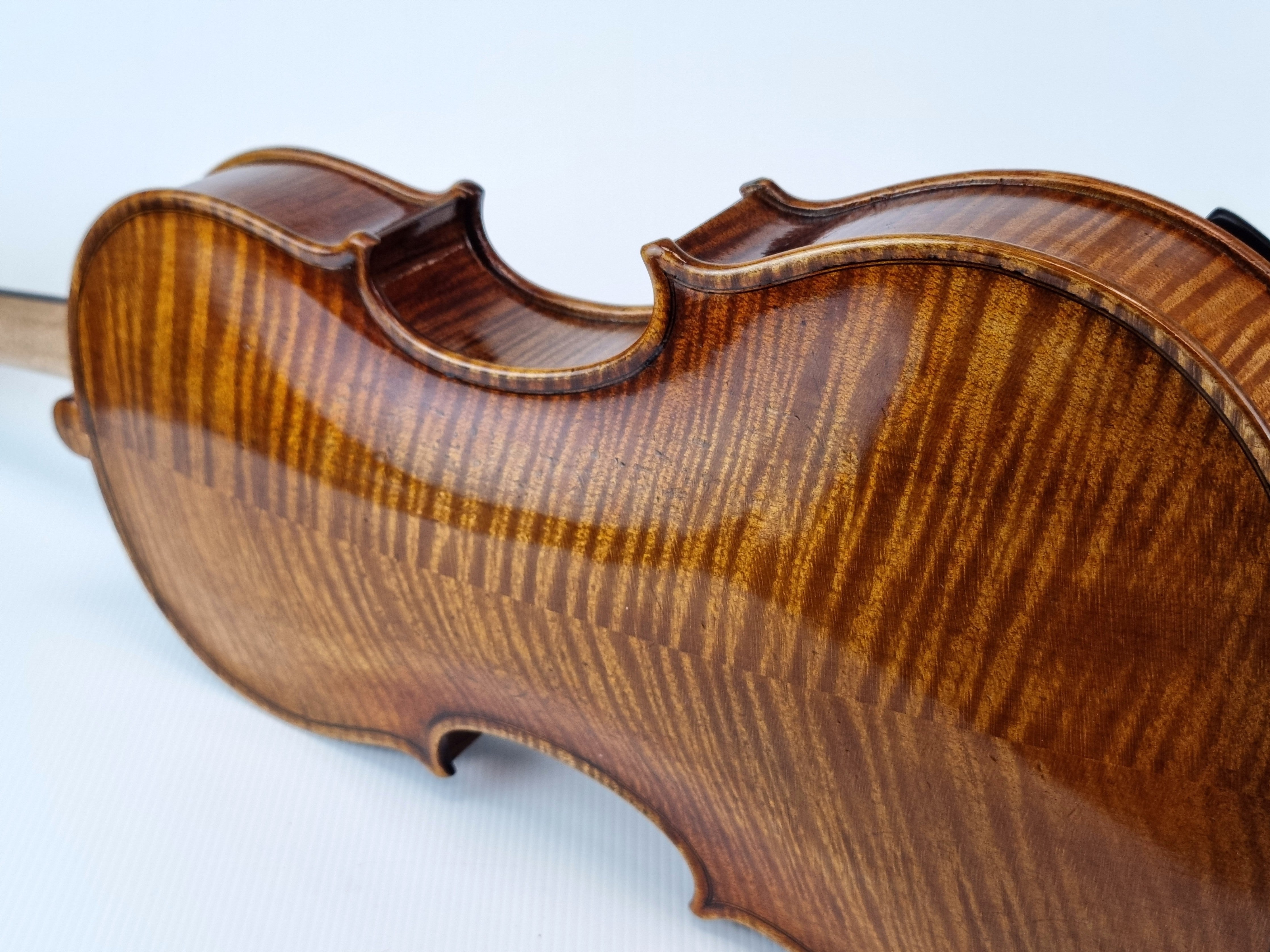 Luthier - 6 Viola